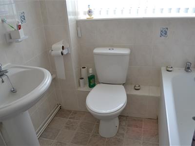 Picture 7